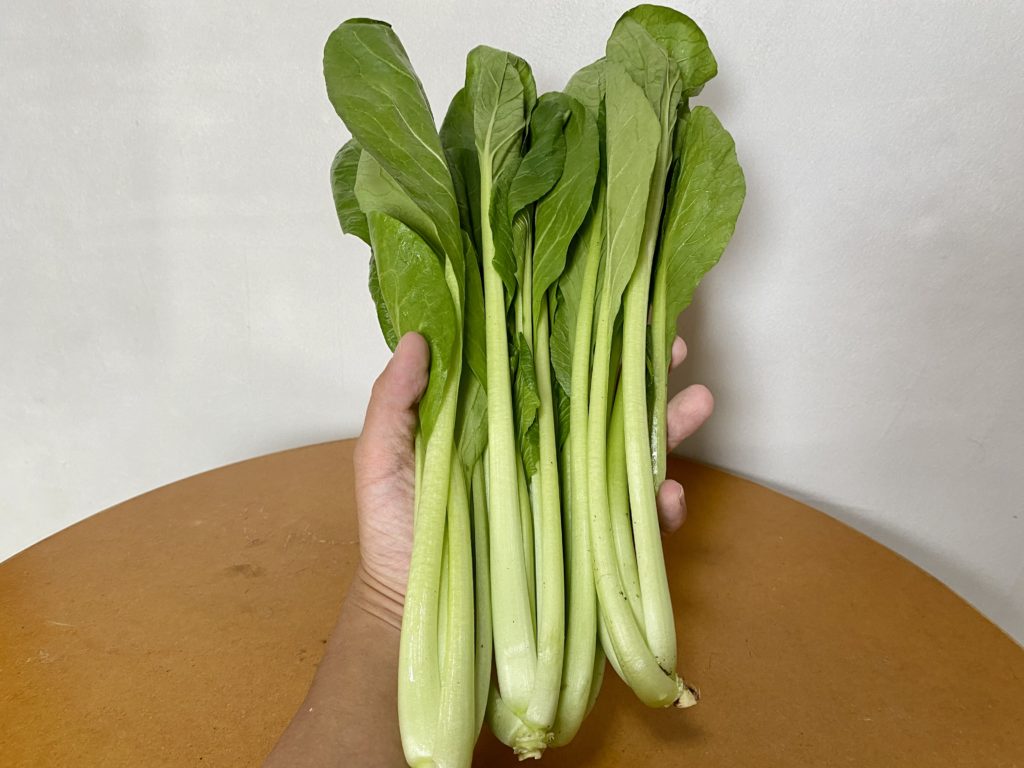 こまつな　3本